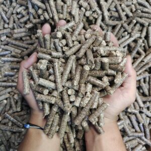 wood pellet