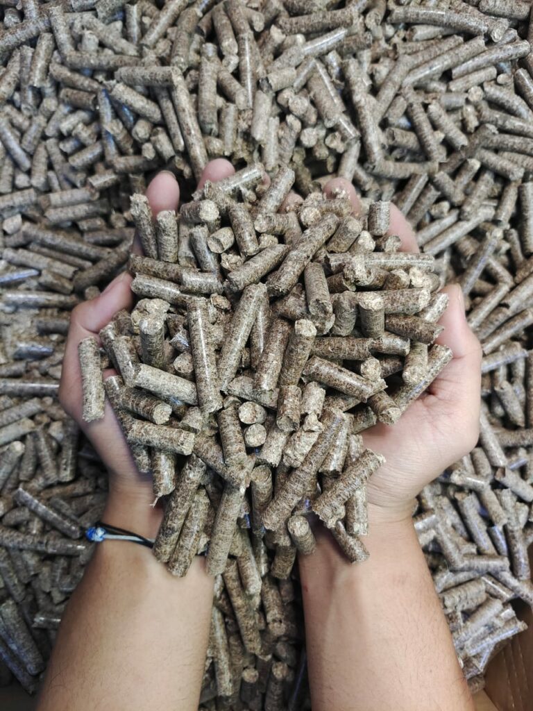 Wood Pellet